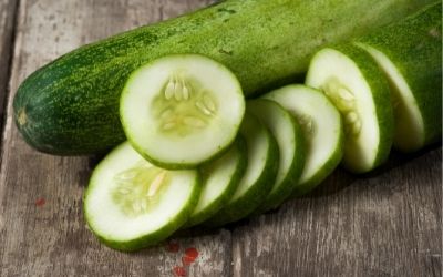 Cucumber slices - About Everything Pets