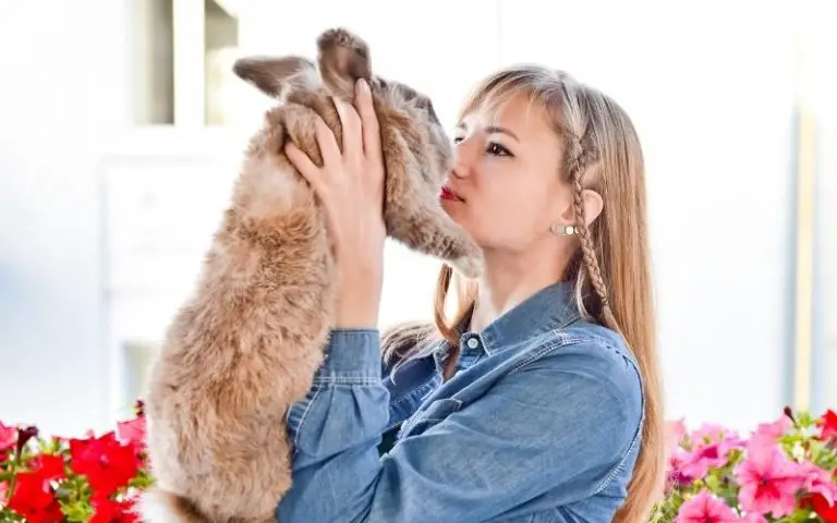 Top 11 Friendliest Rabbits You’ll Want as Pets: Perfect for Adults and Children