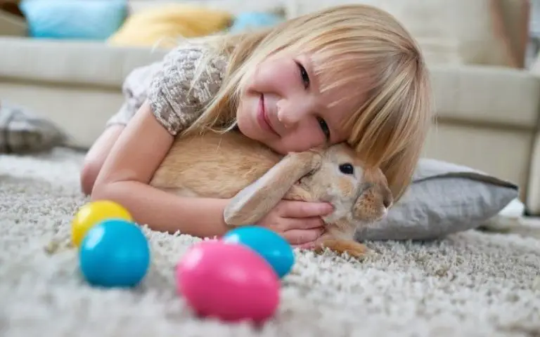 Can Rabbits Feel Love? (Complete Explanation!)