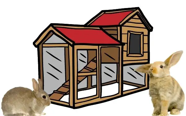 Rabbit cages - AboutEverythingPets.com